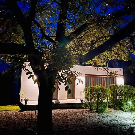 Villa Babvirag Porta Fonyodliget Esterno foto